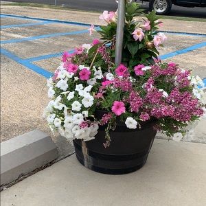 Meet your Posher, Marcia